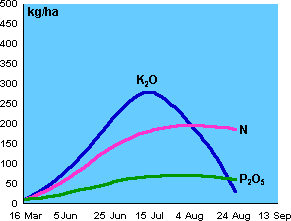 Figure 2: Nutrient uptake of  a typical 8 t/ac Wheat Crop