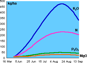 Figure 3: Nutrient uptake of a typical 55 t/ha Potato Crop