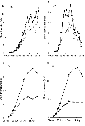 Patterns of dry matter accumulation and tissue water content of shoots of spring barley grown on Hoosfield (Figures a, b), and sugar beet grown at Broom's Barn (Figures c, d)